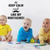 Keep calm mustaches