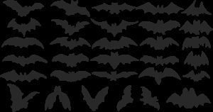 Murciélagos