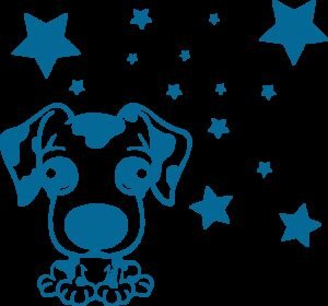 Perrito y estrellas