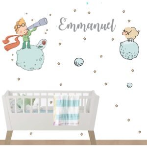El Principito 9-4