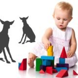 Chihuahuas