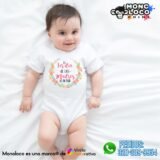 Body BDM13