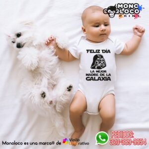 Body BDM19