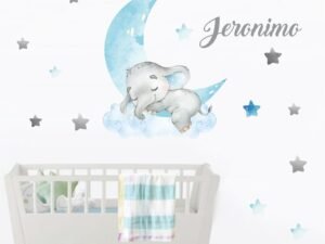 Elefante en la Luna