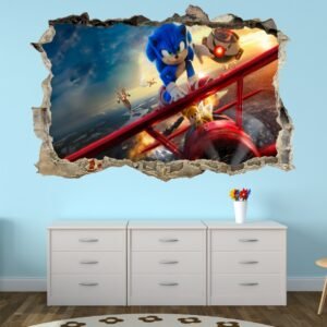 Pared Rota Sonic 2-a