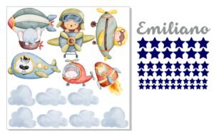 Animals and Air Transportation